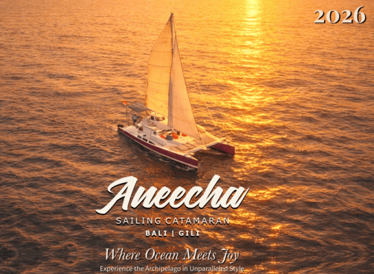Aneecha Sailing
