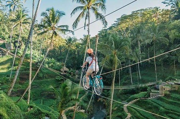 Bali Adventure Sky Bike Over Rice Terraces