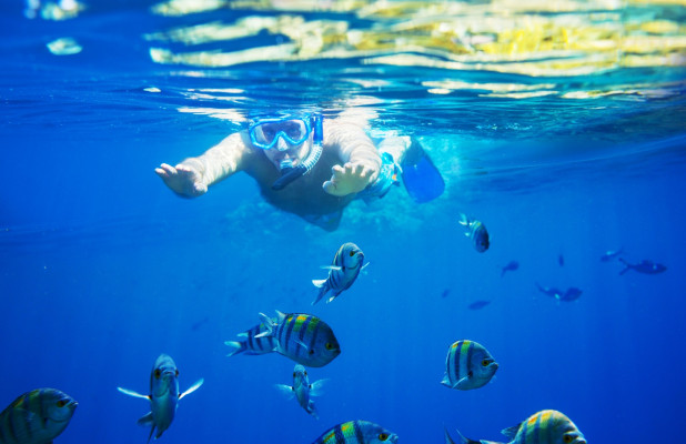 Bali Blue Lagoon Snorkeling Experience