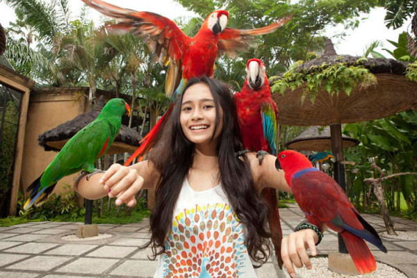Bali Family Adventure: Wildlife & Scenic Gems