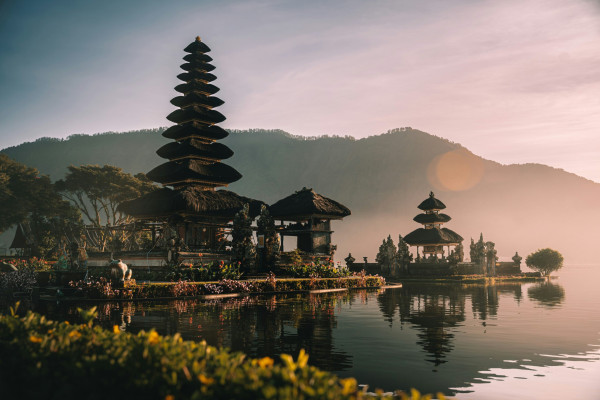 Bali Full Day Water Temple and UNESCO Rice Terraces Tour