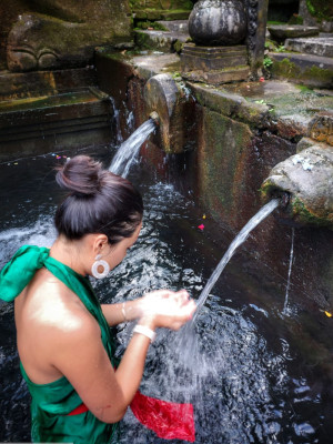 Bali Private Customize One Day Tour