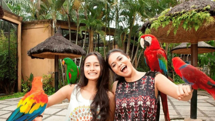 Bali Quad Bike - Bali Bird Park