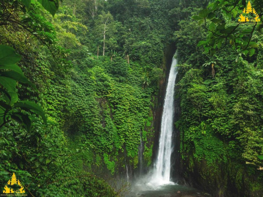 Bali Sekumpul Waterfall Tour