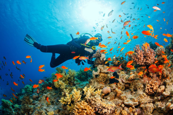 Bali Watersport Standard Package 3