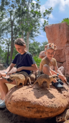Bali Zoo Admission