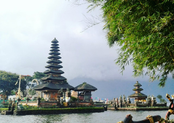 Bedugul & Rice Terraces - All Inclusive Tours