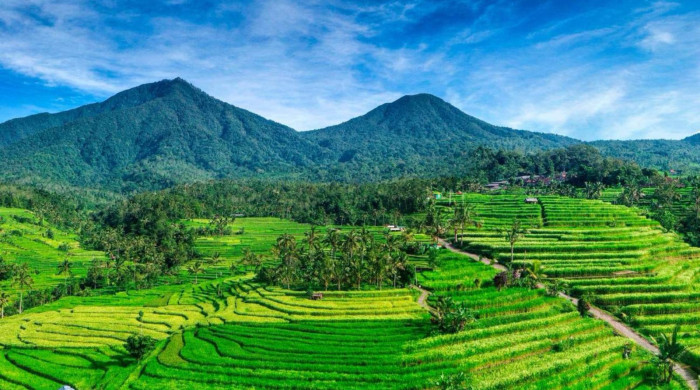 Bedugul Tour A