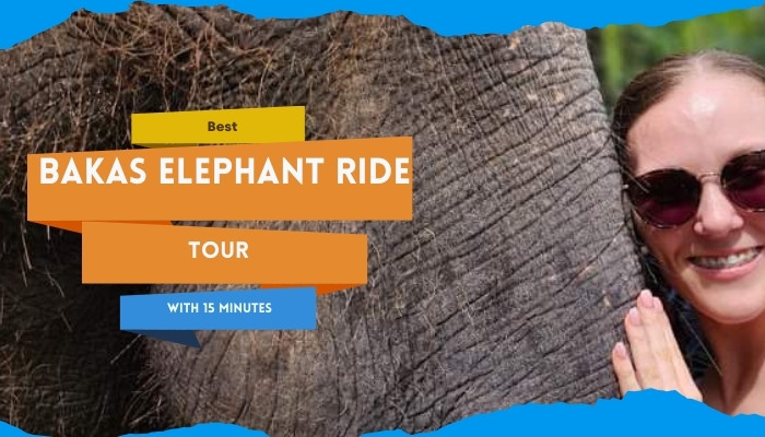 Best Bakas Elephant Ride Tour With 15 - 30 Minutes