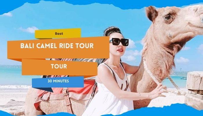 Best Bali Camel Ride Tour 30 Minutes