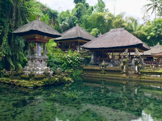Best of Ubud - All Inclusive Tours