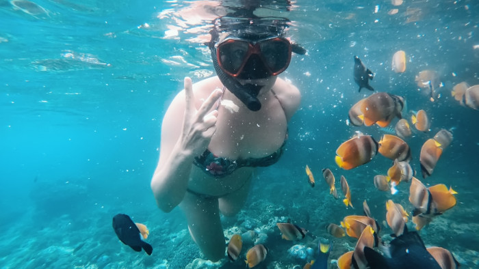 Blue Lagoon Snorkeling with Waterfall and Coffee Plantation