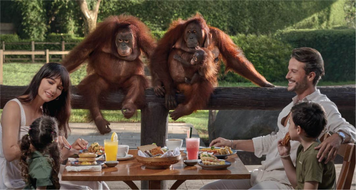 Breakfast With Orangutan & Flamingo Beach Club