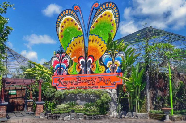 Cave River Tubing + Ubud Palace + Butterfly Park + Bali Glass Bridge