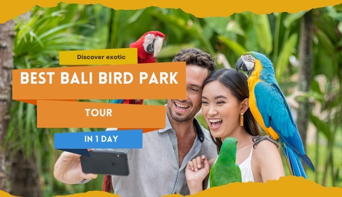 Discover exotic Best Bali Bird Park Tour In 1 Day