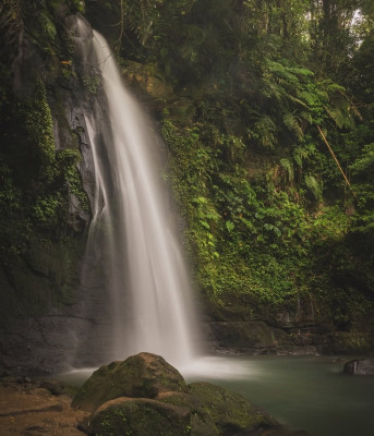 Discover Ubud’s Natural Beauty