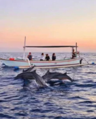 Dolphin Sunrise Tour – Lovina Beach Ocean & Wildlife Experience