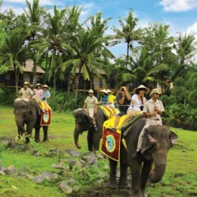 Elephant Ride