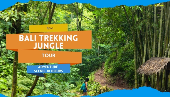 Epic Bali Trekking Jungle Tour Adventure Scenic 10 Hours
