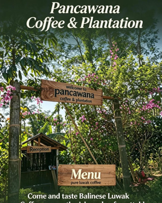 Experience Balinese Coffee : From Plant to Cup