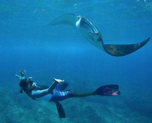 From Lembongan/Penida: Manta Point Private Snorkeling Tour (3 spots)