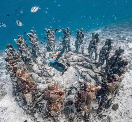 Gili Islands Shared Snorkeling Trip 5 Hours