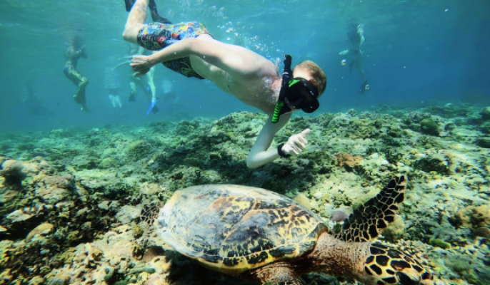 Gili Trawangan: Private Turtle Snorkeling Tour with GoPro