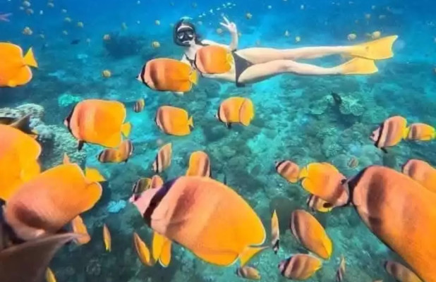 Half Day Trip Snorkeling and Island Tour from Nusa Lembongan