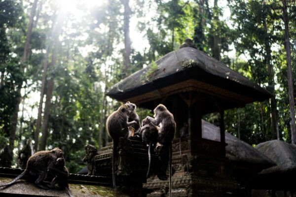 HANDARA GATE FULL DAY TOUR