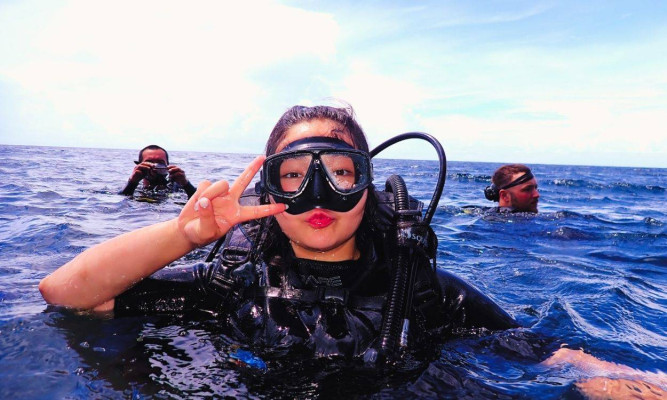 Introductory dives for beginners