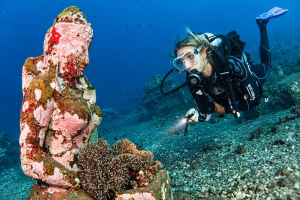 Jetty 2-Dive Scuba Adventure