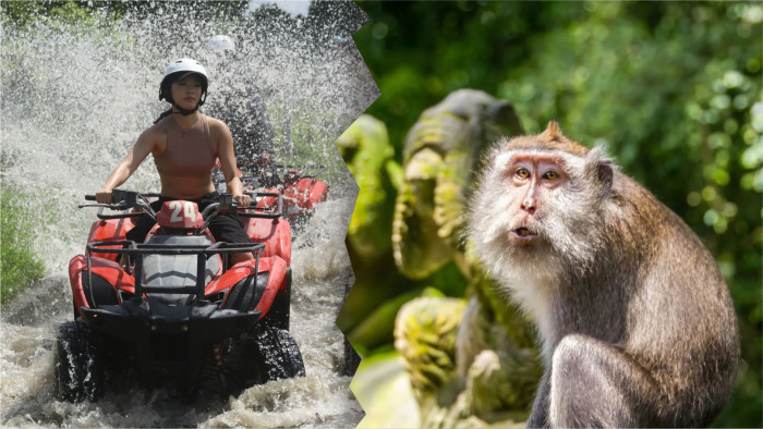 Jungle ATV Bali Quad Bike and Monkey Forest Tour
