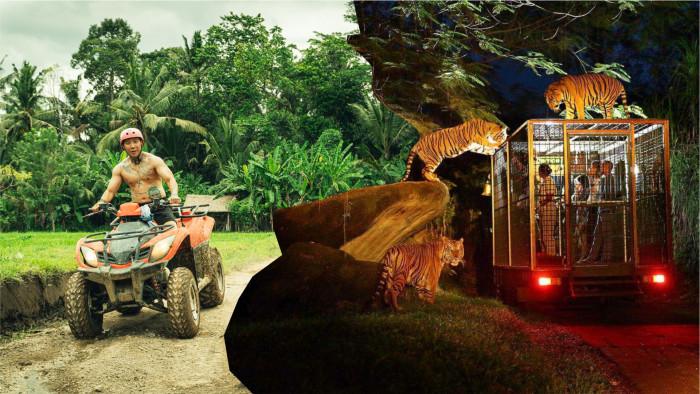 Jungle ATV Bali Quad Bike and Night Safari Tour