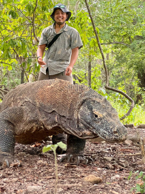 Komodo Adventure Tour – 4 Days 3 Nights