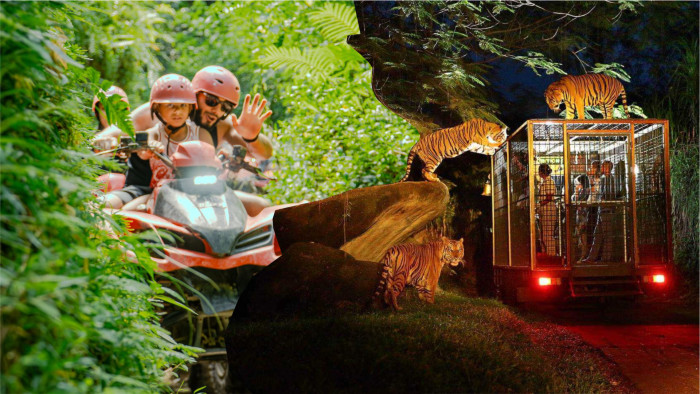 Kuber ATV Bali Quad Bike and Night Safari Tour
