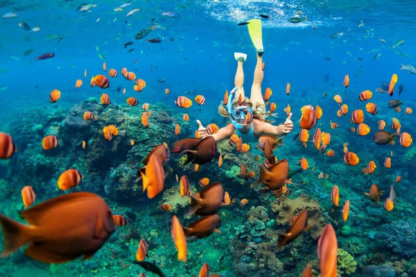 Lempuyang Temple & Blue Lagoon Snorkeling