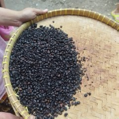 Lombok Coffee Roasting & Pottery Class | Authentic Cultural Experience