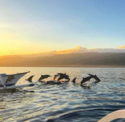 Lovina Dolphin Sunrise Tour – Bali Dolphin Watching & Snorkeling