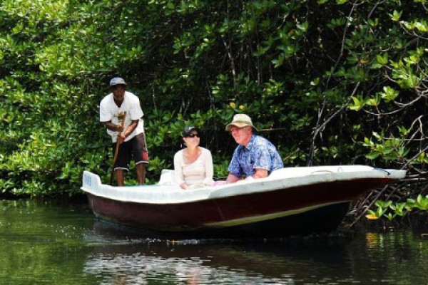 Mangrove Jungle Tour Bali