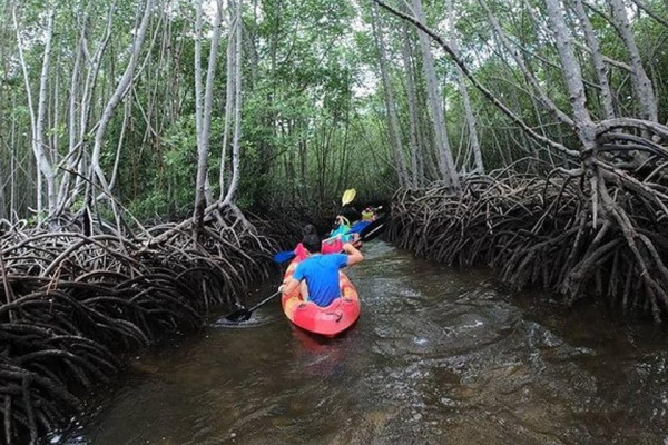 MANGROVE TOUR AT NUSA LEMBONGAN : KAYAK