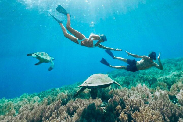 MANTA BAY SNORKELING TRIP