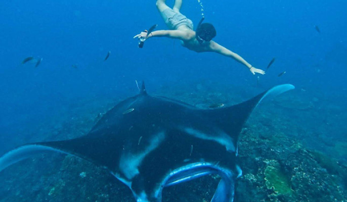Manta Point Private Snorkeling Exclusive Tour