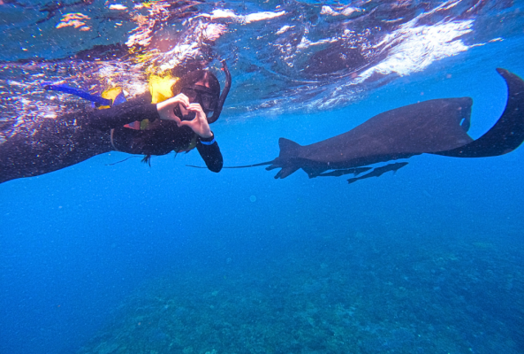 Manta Snorkeling with Lunch at Nusa Lembongan