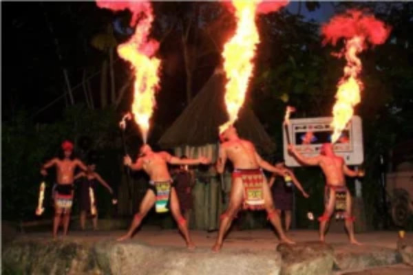 Night Safari Journey – Bali Safari Night Experience