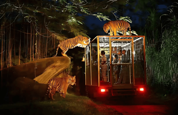 Night Safari Package - Bali Safari Marine Park