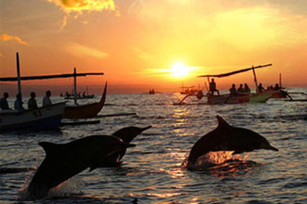 North Bali Tour