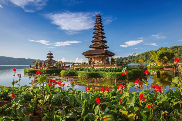 Northern Bali Tour Tanah Lot & Jatiluwih Rice Terrace