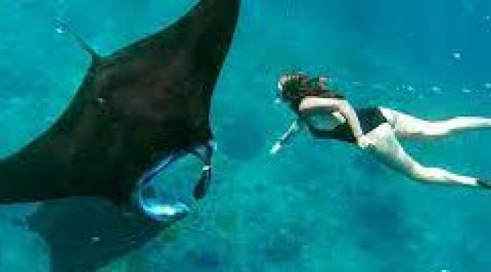 Nusa Penida Snorkeling + Tiket Fast Boat PP
