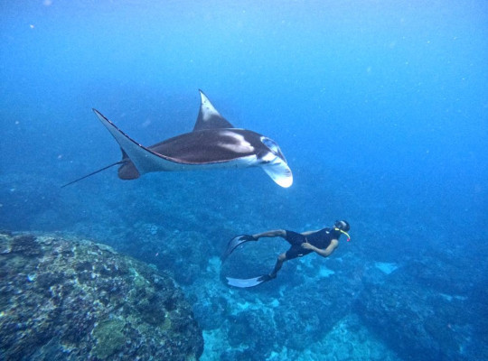 PACKAGE A SNORKELING DAY TRIP FROM BALI TO NUSA LEMBONGAN AND NUSA PENIDA)