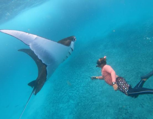 PACKAGE B (Snorkeling & Lembongan island Tour Day Trip From Bali to Nusa Lembongan